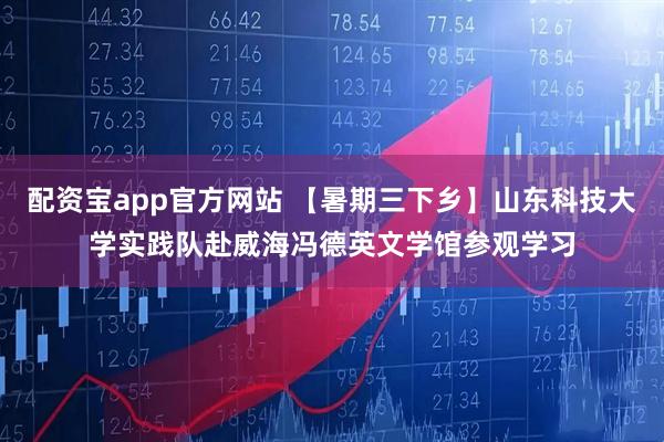 配资宝app官方网站 【暑期三下乡】山东科技大学实践队赴威海冯德英文学馆参观学习