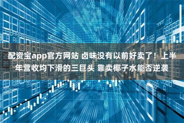 配资宝app官方网站 卤味没有以前好卖了！上半年营收均下滑的三巨头 靠卖椰子水能否逆袭