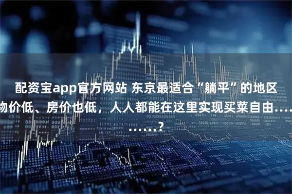 配资宝app官方网站 东京最适合“躺平”的地区，物价低、房价也低，人人都能在这里实现买菜自由……？