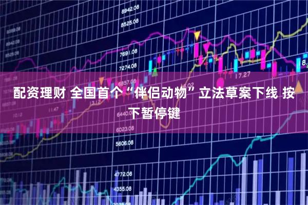配资理财 全国首个“伴侣动物”立法草案下线 按下暂停键